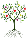 Roots2Fruits logo